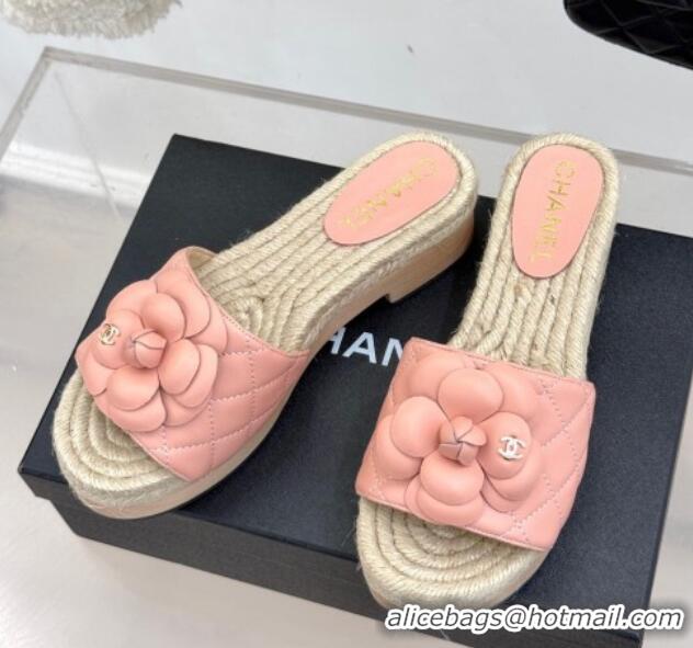 Trendy Design Chanel Calfskin Platform Slides Sandal 4cm with Camellia Light Pink 2025 CH041608