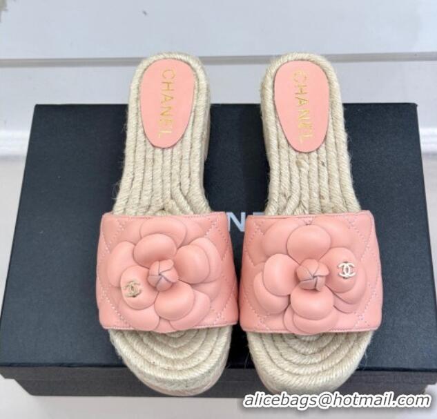 Trendy Design Chanel Calfskin Platform Slides Sandal 4cm with Camellia Light Pink 2025 CH041608