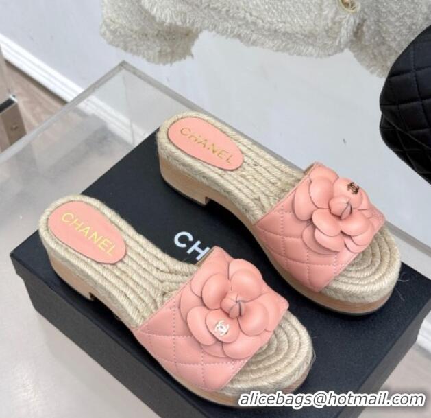 Trendy Design Chanel Calfskin Platform Slides Sandal 4cm with Camellia Light Pink 2025 CH041608