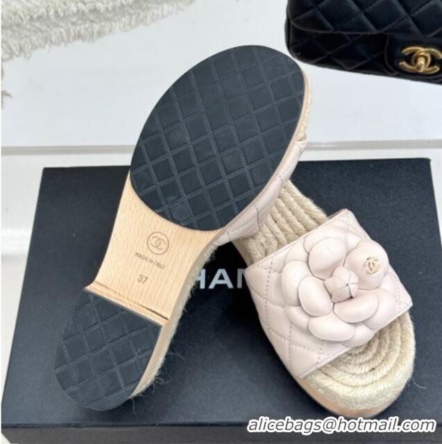Good Product Chanel Calfskin Platform Slides Sandal 4cm with Camellia Pale Pink 2025 CH041608