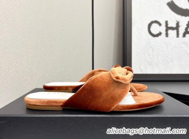 Stylish Chanel Velvet Flat Thong Slide Sandals with Bow Brown 2025 CH041705