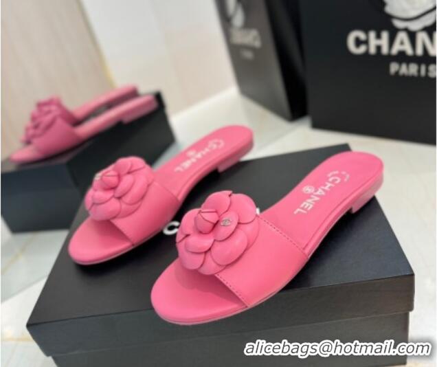Purchase Chanel Camellia Bloom Lambskin Flat Slides Sandal G45499 Pink
