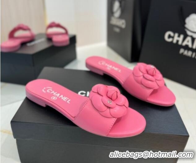 Purchase Chanel Camellia Bloom Lambskin Flat Slides Sandal G45499 Pink