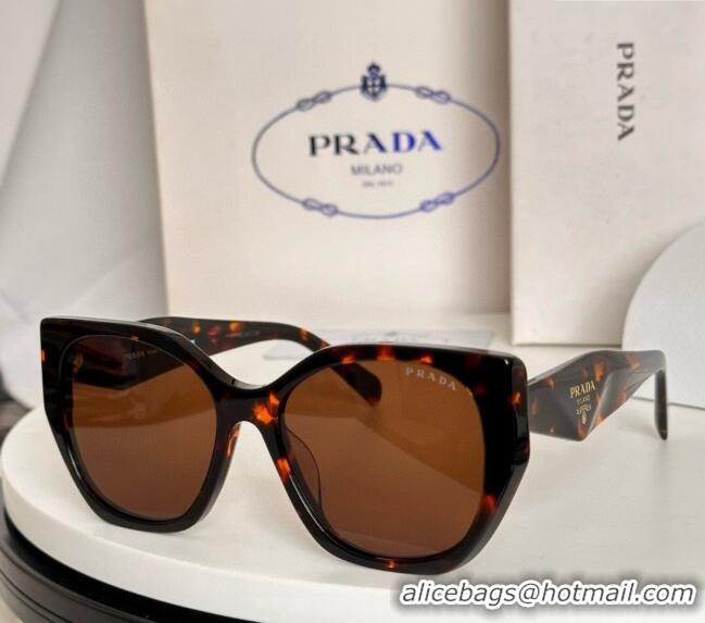 Spot Bulk Prada Sunglasses SPR19Z Brown 2025