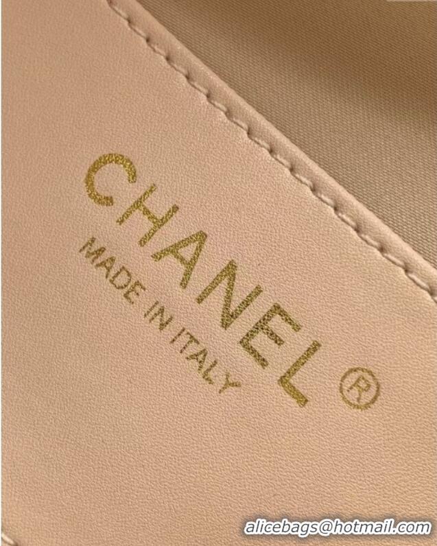 Market Sells Chanel 25 Small Handbag in Grained Calfskin AS5293 White Spring-Summer 2025