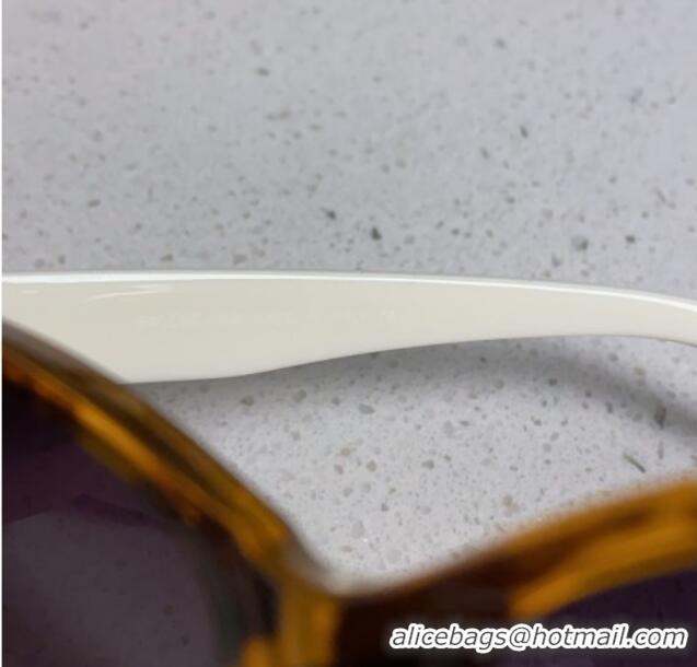High Quality Balenciaga Sunglasses BB0102SA 2025