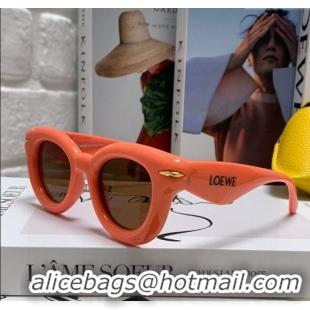 Spot Bulk Loewe Sunglasses LW050801 Pink 2025