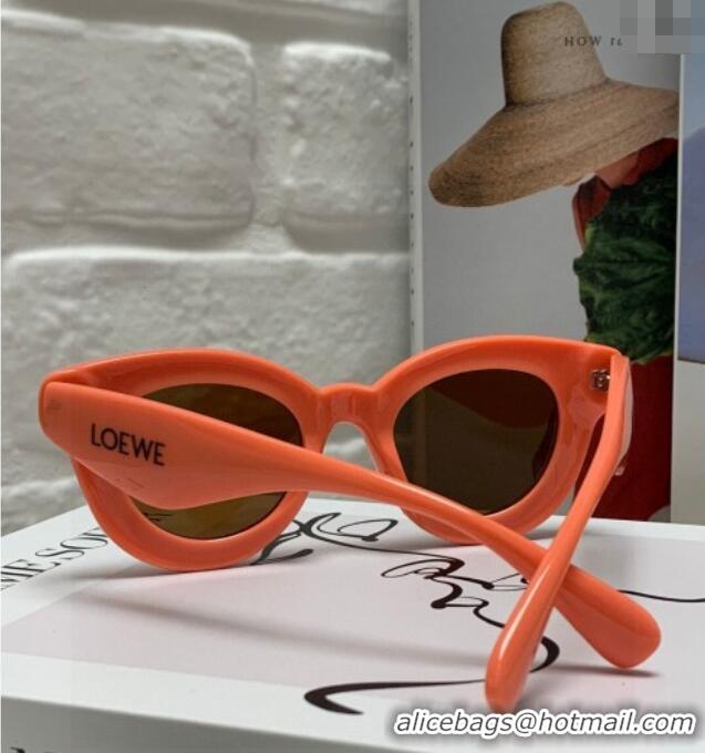 Spot Bulk Loewe Sunglasses LW050801 Pink 2025