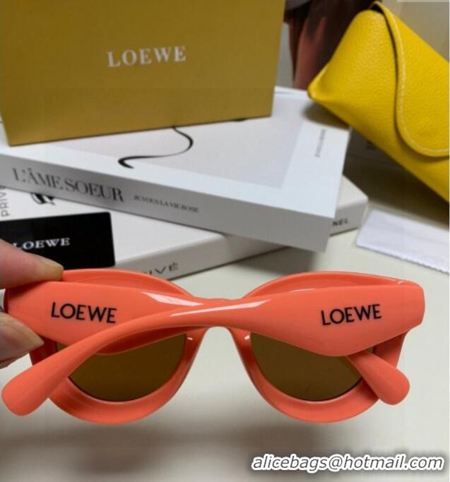 Spot Bulk Loewe Sunglasses LW050801 Pink 2025