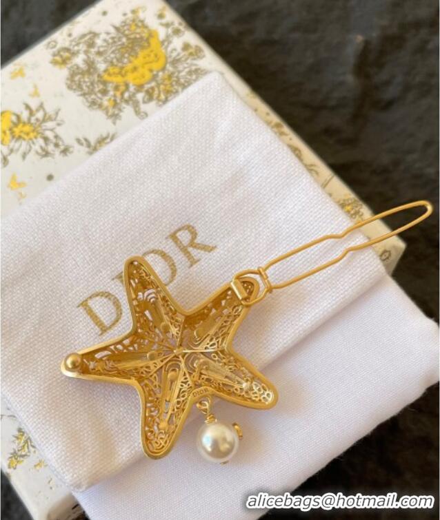 Well Crafted Dior Cabinet de Curiosites Star Hair Clip 3095 Gold 2025