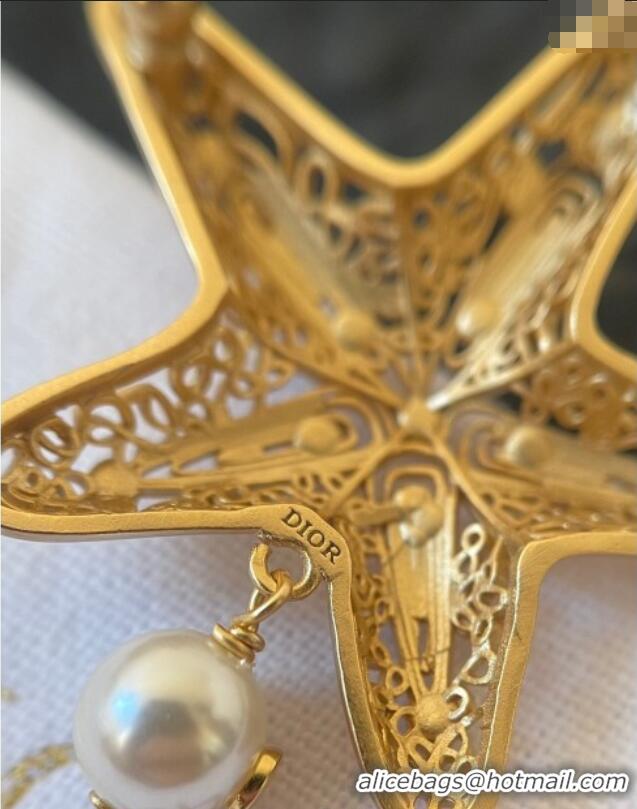 Well Crafted Dior Cabinet de Curiosites Star Hair Clip 3095 Gold 2025