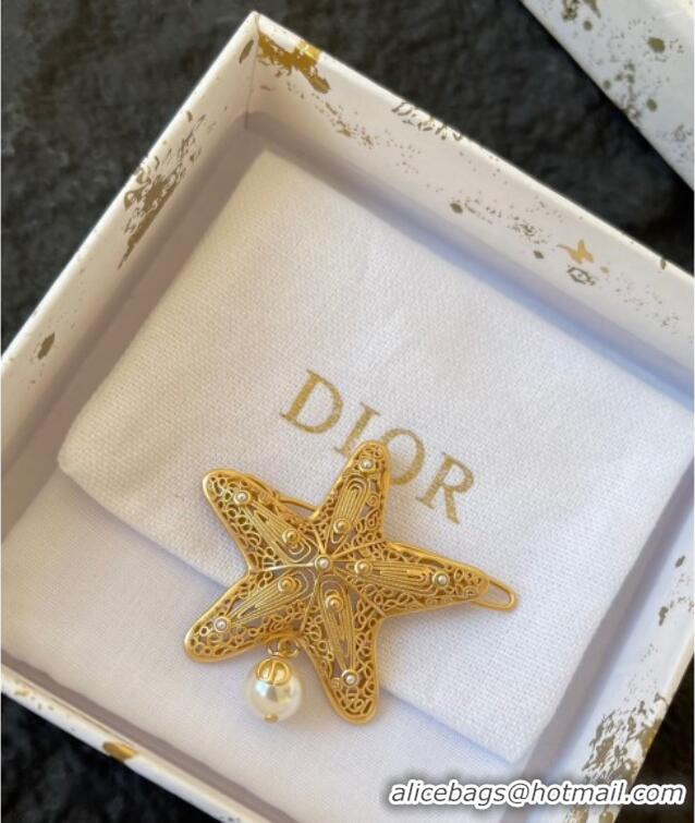 Well Crafted Dior Cabinet de Curiosites Star Hair Clip 3095 Gold 2025
