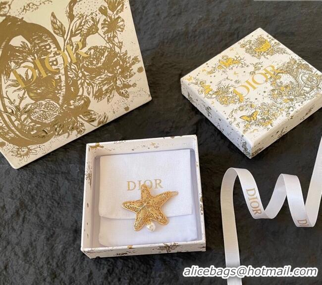 Well Crafted Dior Cabinet de Curiosites Star Hair Clip 3095 Gold 2025