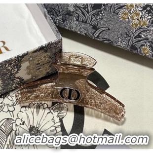 Top Design Dior Crinkled Hair Clip 0311 Beige 2025