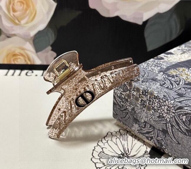 Top Design Dior Crinkled Hair Clip 0311 Beige 2025