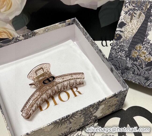 Top Design Dior Crinkled Hair Clip 0311 Beige 2025