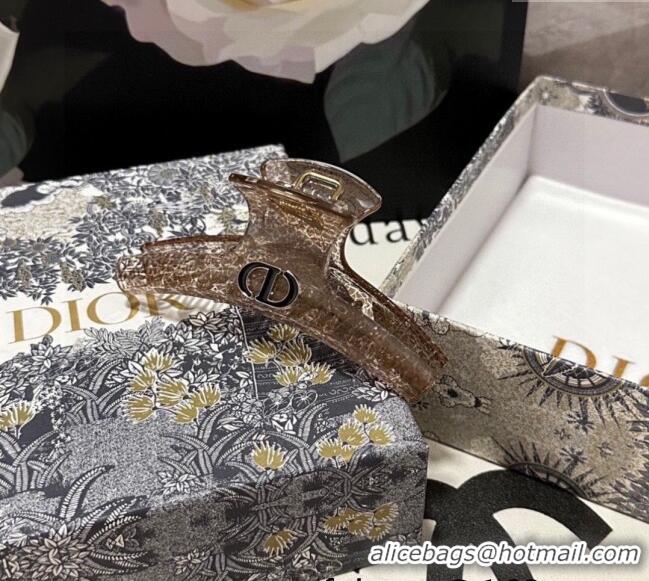 Top Design Dior Crinkled Hair Clip 0311 Beige 2025
