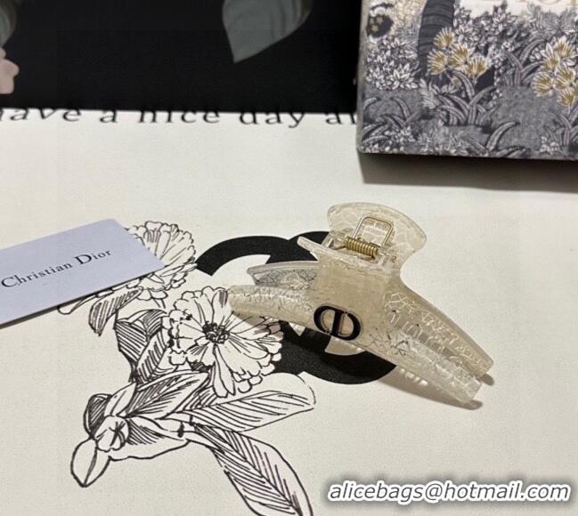 Best Product Dior Crinkled Hair Clip 0311 White 2025