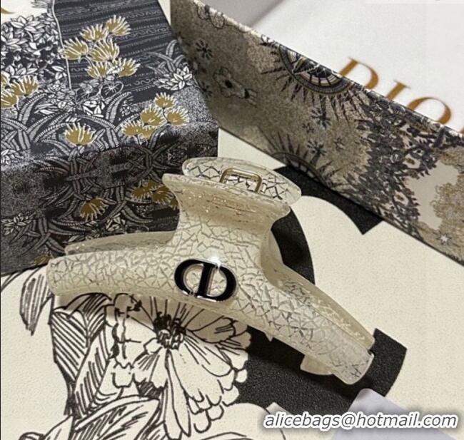 Best Product Dior Crinkled Hair Clip 0311 White 2025