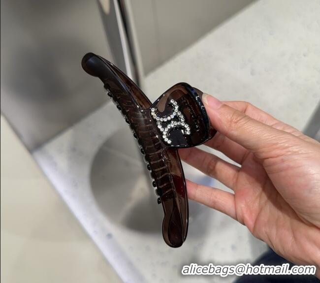 Promotional Celine Hair Clip with Strass 2082 Brown 2025