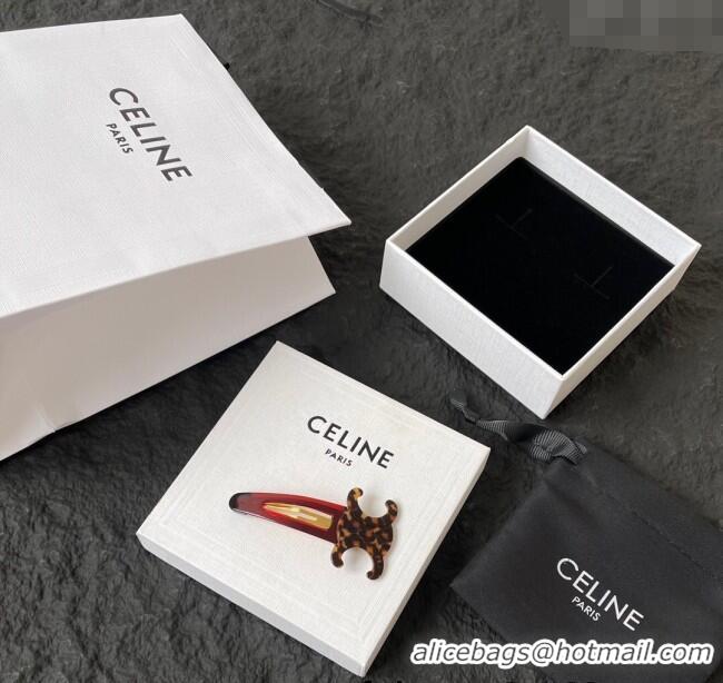 Super Quality Celine Triomphe Hair Clip 0512 Brown 2025