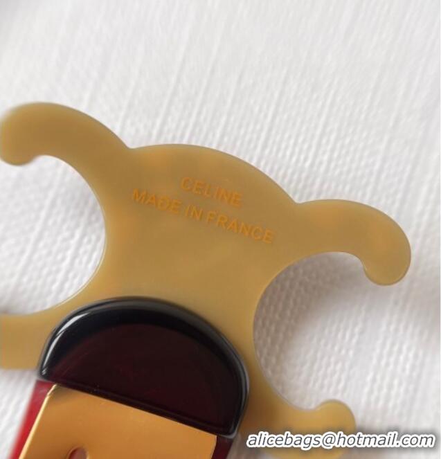 Super Quality Celine Triomphe Hair Clip 0512 Brown 2025