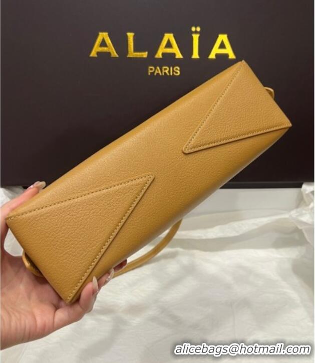 Discount Alaia Le Tecket Small Long Shoulder bag in Grained Leather 68168 Apricot 2025