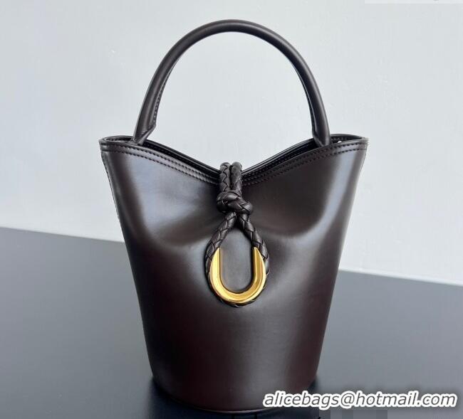 Well Crafted Bottega Veneta Small Liberta Bucket Bag in Smooth Leather 815244 Fondant Brown 2025
