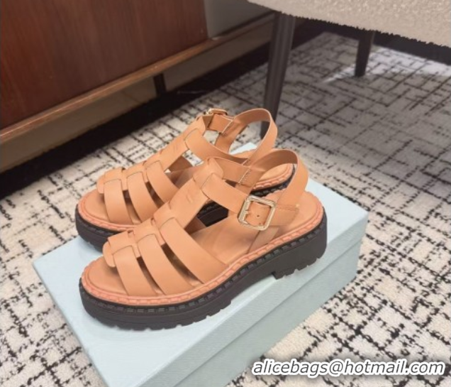 Grade Prada Calf Leather Strap Sandals Brown 2025 PR042401