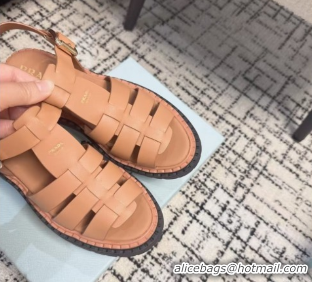 Grade Prada Calf Leather Strap Sandals Brown 2025 PR042401