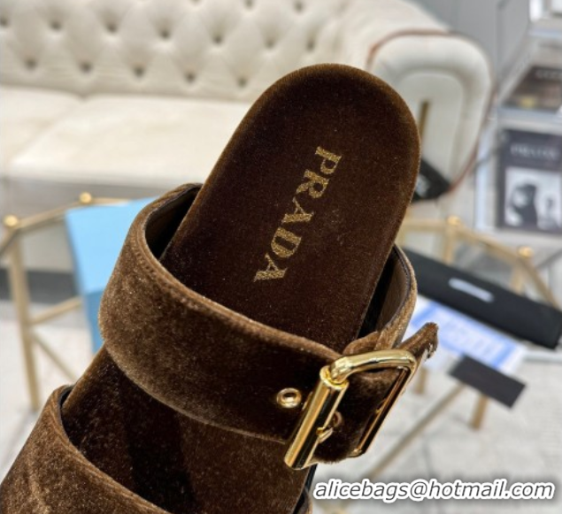 Low Price Prada Velvet flat slides sandal with buckle Brown 2025 1XX715