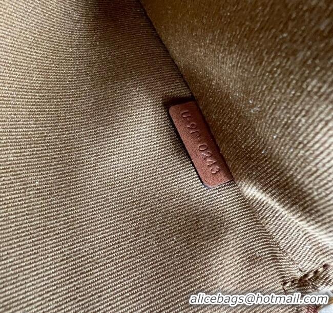 Luxury Cheap Celine Small Pouch with Strap in Triomphe Canvas and Calfskin 100502 Tan 2024 Top