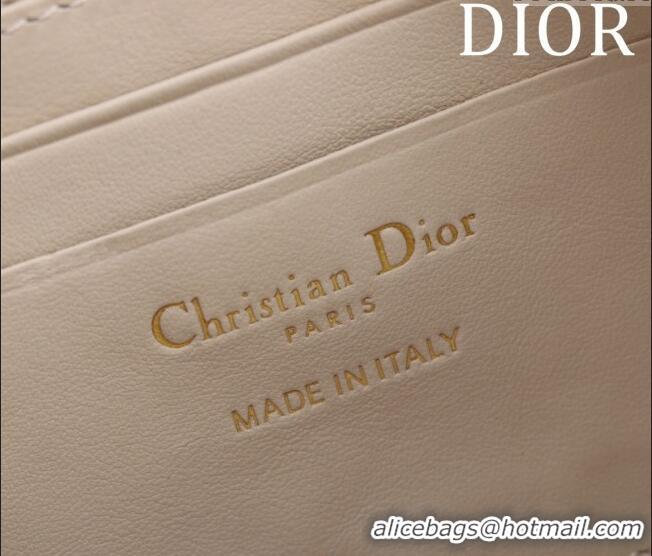 Spot Bulk Dior 30 Montaigne Wanderlust Mini Bag in Dior Oblique Chambray with Raffia Effect and Light Biscuit Smooth Cal