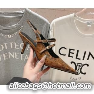 Best Price Celine Judy Double Strap Mary Janes Slingback Pumps 6.5cm in Python Embossed Leather Teck Brown 0428105
