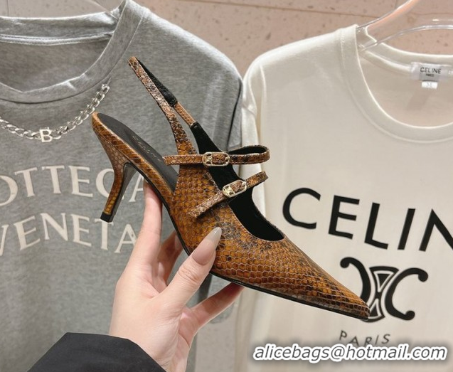 Best Price Celine Judy Double Strap Mary Janes Slingback Pumps 6.5cm in Python Embossed Leather Teck Brown 0428105