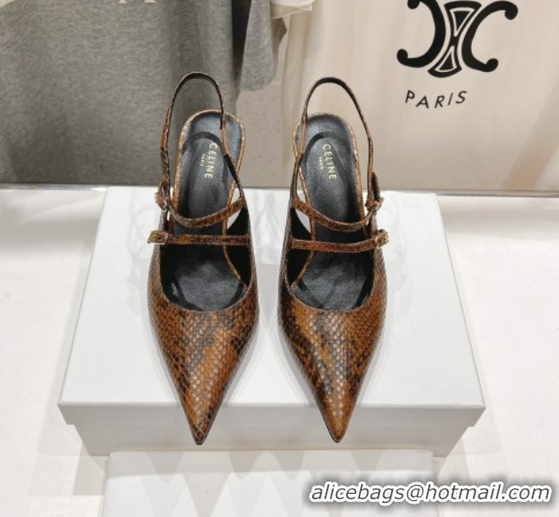 Best Price Celine Judy Double Strap Mary Janes Slingback Pumps 6.5cm in Python Embossed Leather Teck Brown 0428105