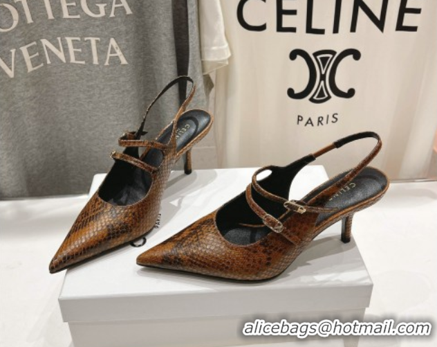 Best Price Celine Judy Double Strap Mary Janes Slingback Pumps 6.5cm in Python Embossed Leather Teck Brown 0428105
