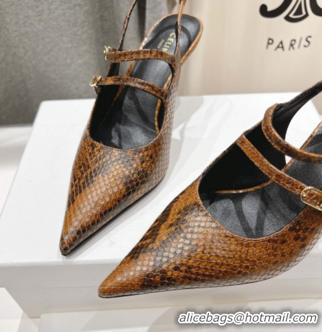 Best Price Celine Judy Double Strap Mary Janes Slingback Pumps 6.5cm in Python Embossed Leather Teck Brown 0428105