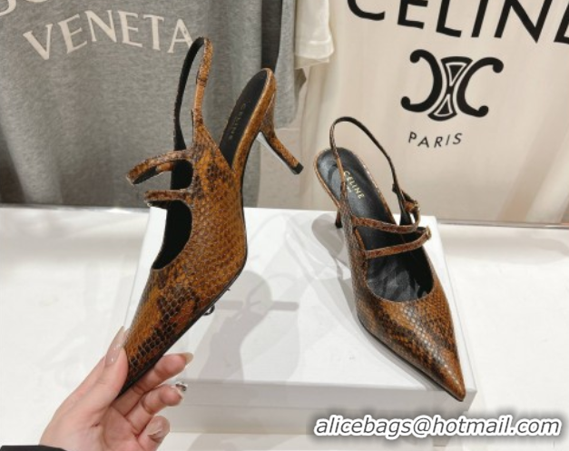 Best Price Celine Judy Double Strap Mary Janes Slingback Pumps 6.5cm in Python Embossed Leather Teck Brown 0428105