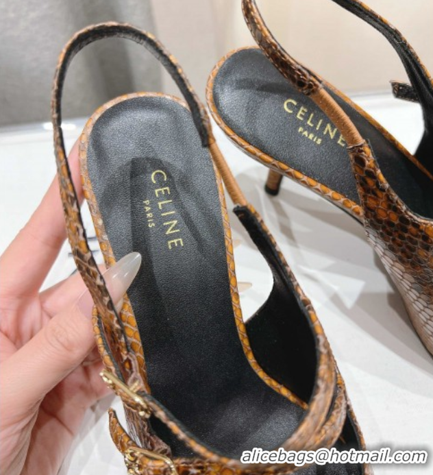 Best Price Celine Judy Double Strap Mary Janes Slingback Pumps 6.5cm in Python Embossed Leather Teck Brown 0428105