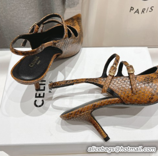 Best Price Celine Judy Double Strap Mary Janes Slingback Pumps 6.5cm in Python Embossed Leather Teck Brown 0428105