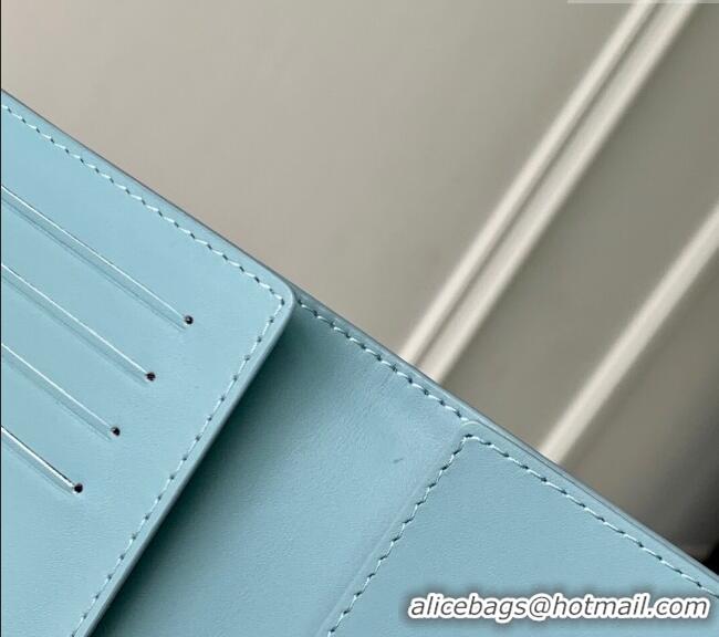 Top Grade Louis Vuitton Passport Cover in Sky Blue Monogram Shadow Leather M14798 2025