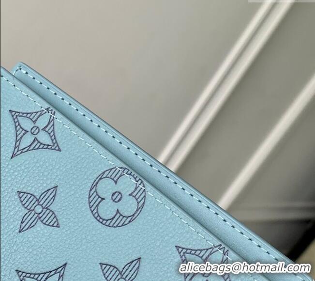 Top Grade Louis Vuitton Passport Cover in Sky Blue Monogram Shadow Leather M14798 2025