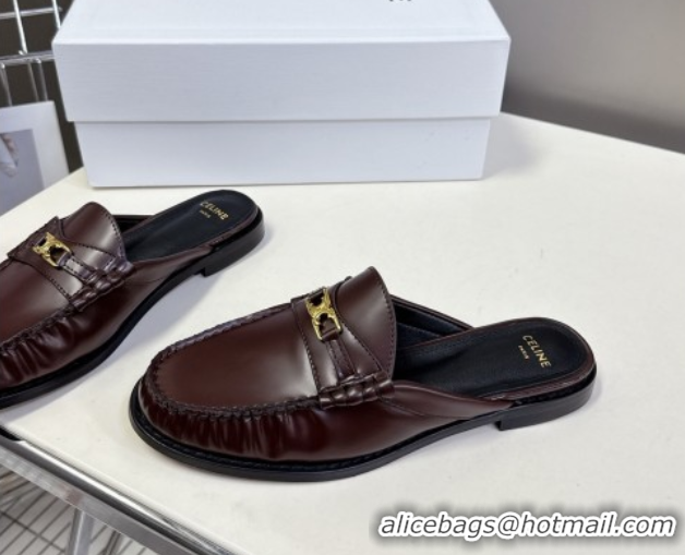 Classic Hot Celine Luco Flat Loafers Mules in Polished Leather Dark Brown 0428128