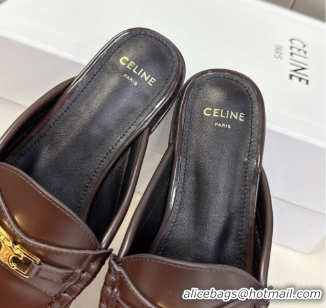 Classic Hot Celine Luco Flat Loafers Mules in Polished Leather Dark Brown 0428128