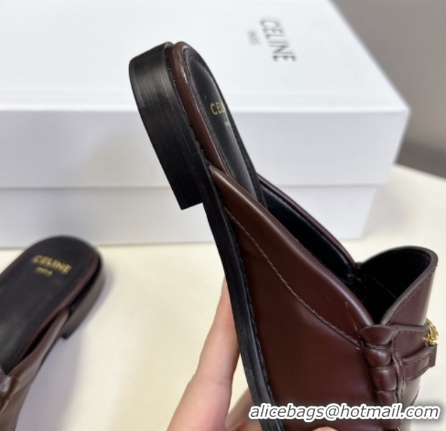 Classic Hot Celine Luco Flat Loafers Mules in Polished Leather Dark Brown 0428128