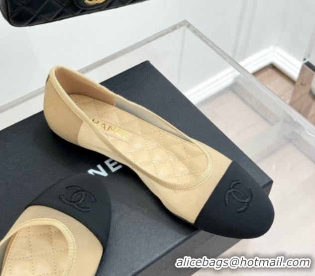 Best Price Chanel Mesh & Grosgrain Ballerina Beige 050906