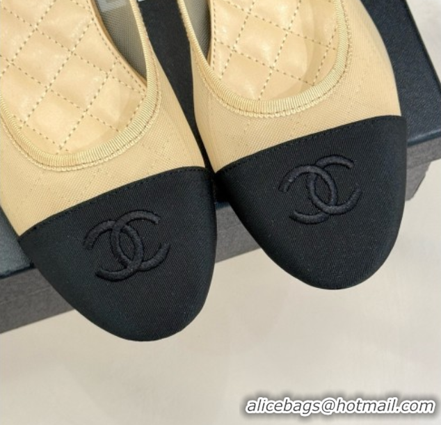 Best Price Chanel Mesh & Grosgrain Ballerina Beige 050906