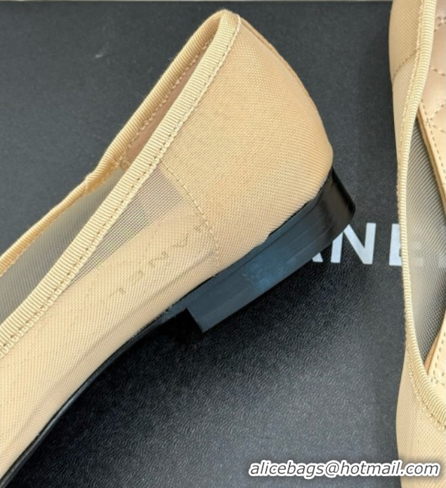 Best Price Chanel Mesh & Grosgrain Ballerina Beige 050906