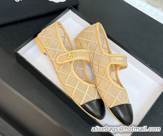 Top Design Chanel Mesh & Lambskin Mary Janes Ballet Flats Beige 051542